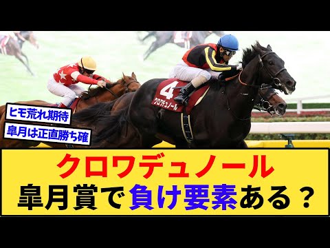 【競馬】皐月賞のクロワデュノールって死角ある？