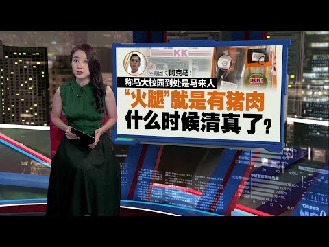 将化验火腿是否有猪肉   JAKIM：火腿芝士三明治 没获清真认证｜新闻报报看 13/01/2025