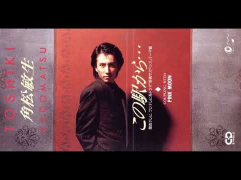 Toshiki Kadomatsu 角松敏生 - PINK MOON