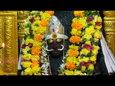 mallanna Peta mallanna swamy Bonala  jatara 12 12 2021 #mallanna #bonalu