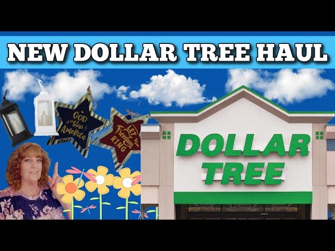 Fantastic Finds: Dollar Tree Haul May 17th, 2024