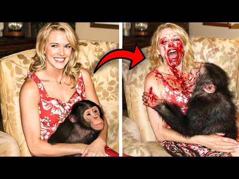 Horrifying Pets That Ate Their Owners Right In Front Of Everyone!