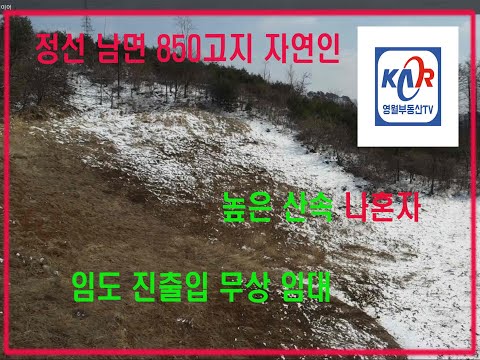 [영월부동산TV] 자연인 /임야5만평 무상임대 / 영월부동산 / 영월토지 / 영월토지매매 / 영월부동산