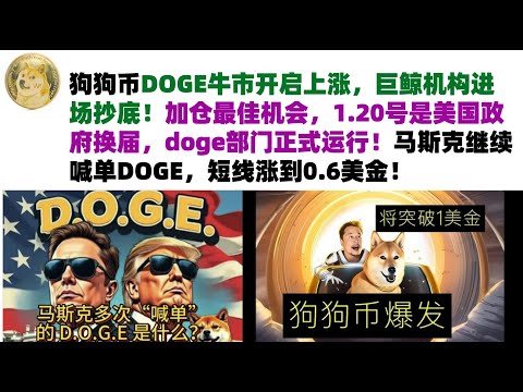 狗狗币DOGE牛市开启上涨，巨鲸机构进场抄底！1.20号是美国政府换届，doge部门正式运行！马斯克继续喊单DOGE，会涨到1美金吗？短线涨到0.6美金#DOGE币#马斯克狗狗币#DOGE行情分析