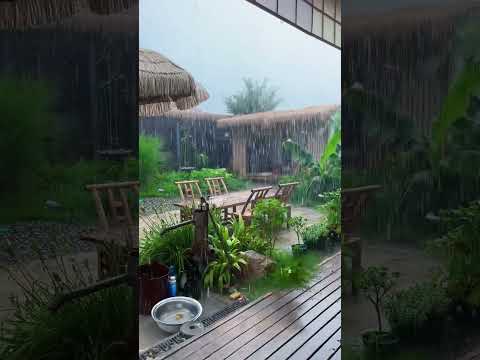 雨声助眠冥想：自然声睡眠