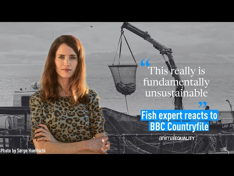 Fish Expert Reacts To Scottish Salmon Footage On BBC Countryfile