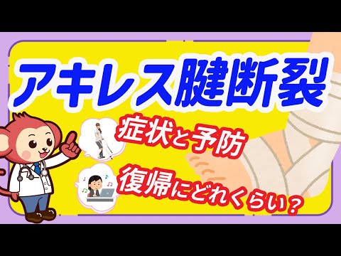 アキレス腱断裂の症状と予防法を解説【現役整形外科医監修】