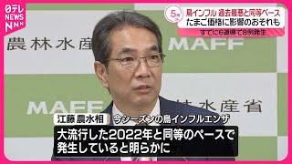 【鳥インフルエンザ】“最悪の年とほぼ同じペース”  たまご価格に影響のおそれも