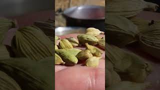 #watermelon  #village #cooking #mountainvillagelife #cooking_video #food #recipe #nomadichouse#chef