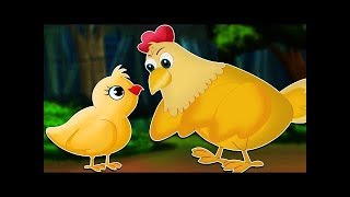 El cuento del pollito - Cuentos infantiles