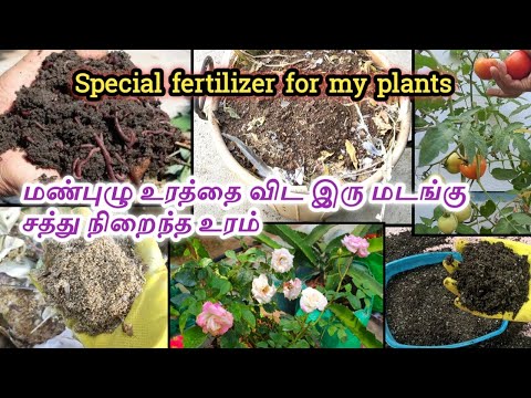 மாடி தோட்டம் மண்புழு உரங்களை விட இரு மடங்கு சிறந்த உரம்🏡Special fertilizer for plants