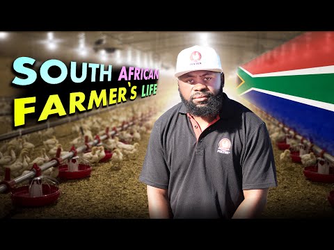 From Chick to Chicken: Raising a Broiler in 3 Months | My Journey to Success