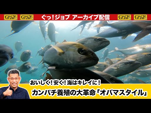 カンパチ養殖の大革命「オバマスタイル」　おいしく！安く！海はキレイに！／ぐっ！ジョブ・アーカイブ（2024年4月13日放送）