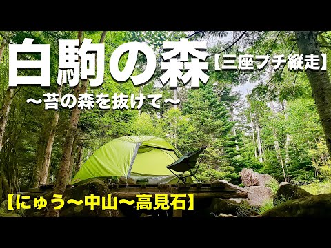 【北八ヶ岳】苔の森と白駒池を抜け「ニュウ〜中山展望台〜高見石」をぐるりと回るプチ縦走！日帰りでもOK。