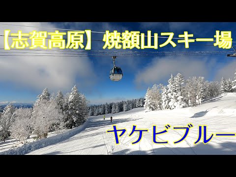 【志賀高原】焼額山スキー場　ヤケビブルーになーれ!!