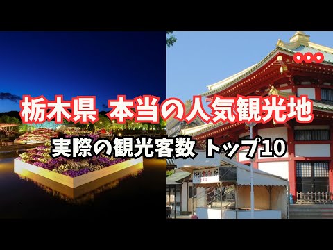 【栃木】データで見る「人気観光地TOP10」を地元民が解説！