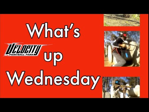 What’s up Wednesday 11/29/23