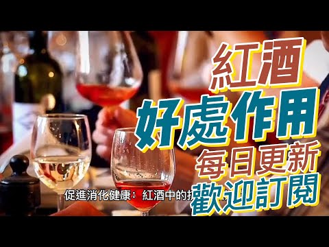 EP 192 紅酒（Red Wine）的好處與作用 抗氧化作用 促進心血管健康 促進消化健康