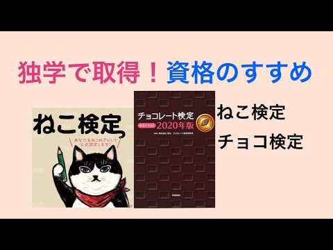 おすすめの資格　ねこ検定とチョコレート検定