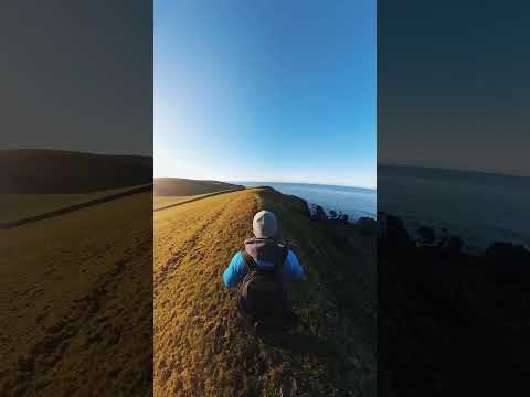 POV: Walking from Dally Bay to Portobello Bay #shorts #insta360x3