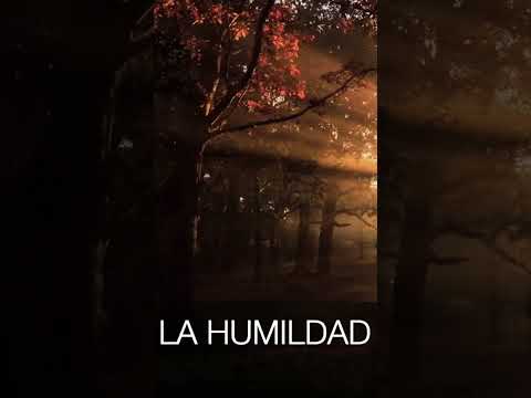 La humildad en AA #humildad #humilde #alcoholicosanonimos #humildadantetodo