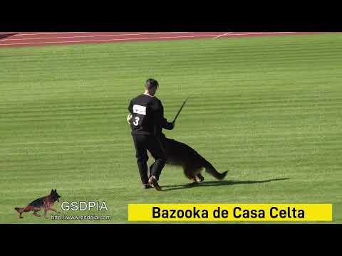 Bazooka de Casa Celta