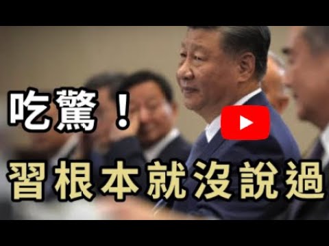 习根本就没说这句话｜星舰6是政治路演发射｜马斯克是DOGE狗狗币庄家｜乌克兰放飞自我川普虚张声势不敢打仗