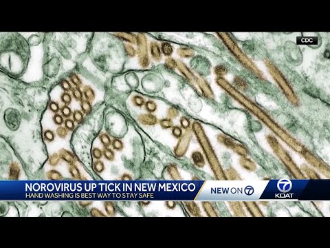 New Mexico sees uptick in norovirus cases