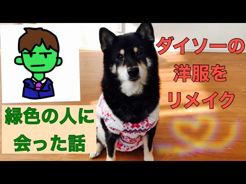 【オカルト系？】ゴム人間を見た話・うめちゃん用のお洋服リメイクしました