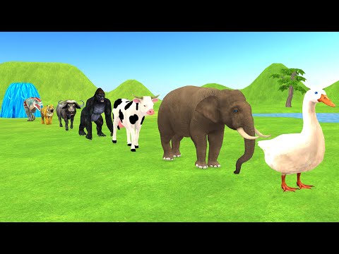 5 GIANT DUCK Elephant Cow Tiger Gorilla Buffalo Crossing Fountain Wild Animals Find the Mystery Food