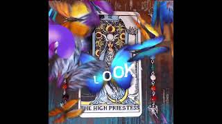 THE HIGH PRIESTESS - TAROT TALKS @zinasplace LEARN TAROT CARDS FAST! ENTERTAINING ONE MINUTE SHORTS!