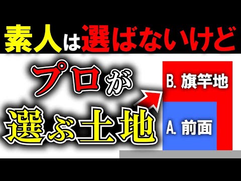 【旗竿地】←コレ知らないで家を買うと損します【土地購入・注意・選び方】