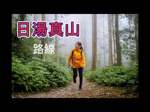 北大武『日湯真山』從『新登山口』走適合新手的緩坡