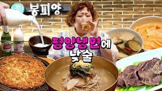 슴슴한 평양냉면에 매콤한 토크 얹기루 | 낮술하기루 EP.31