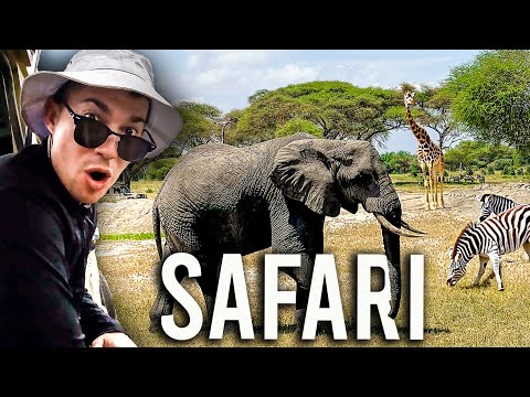 The Ultimate Tarangire National Park Safari in Tanzania 🇹🇿