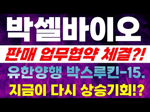 [박셀바이오 주가전망] 판매 업무협약 체결?! 유한양행 박스루킨-15 지금이 다시 상승기회?!