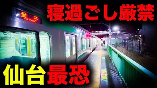 【野宿確定】大都会からわずか25分で絶望へ誘う仙台最恐の終電を乗り通してみた｜終電で終点に行ってみた#55