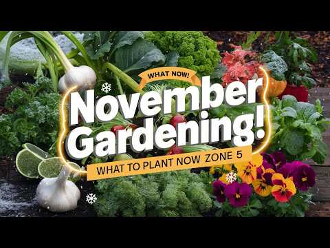 November Gardening in Zone 5: Planting Cold-Hardy Vegetables, Herbs & Flowers!