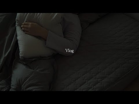 Vlog(인가?) / 일상 / 나를 움직이게 하는 것들 - 카민