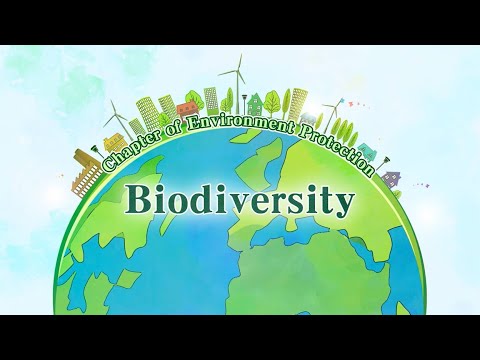 Extraordinary 75 Years｜Biodiversity conservation in China: Stories of five "firsts"