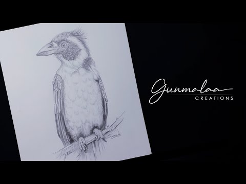 Bird Drawing | Pencil Sketch of a Bird | Gunmalaa Creations