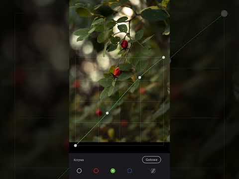 How To The Use curve Lightroom mobile tutorial | cinematic curve in Lightroom mobile tutorial