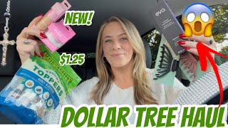 DOLLAR TREE HAUL | NEW | SMALL CAR HAUL| NEW BRAND NAME ITEMS