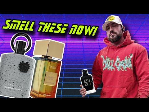 The 10 Best Fragrances To Smell Immediately in 2025 | ALL PRICE RANGES!