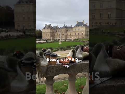 Beautiful Autumn in Paris #paris #shorts #travel #viralvideo #viralshorts #indianinfrance #love