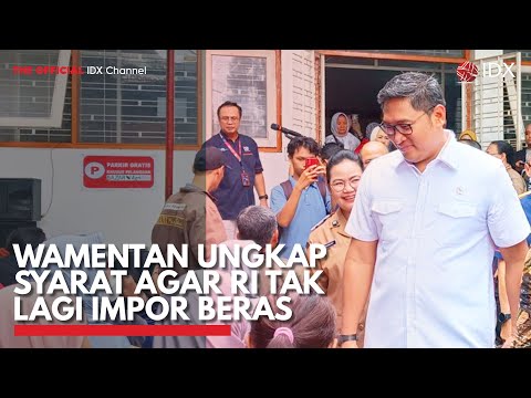 Wamentan Ungkap Syarat Agar RI Tak Lagi Impor Beras | IDX CHANNEL