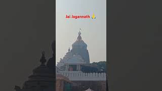 Jay Jagannath #shortvideo #shorts #puri #jagannath #purijagannadh #bhajan