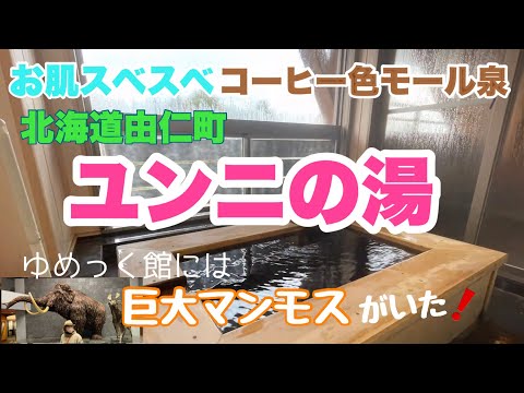 【ユンニの湯 】コーヒー色のモール泉で美肌効果！お部屋で温泉と夕食を堪能する宿