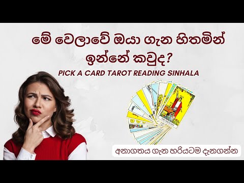 මේ වෙලාවේ ඔයා ගැන හිතමින් ඉන්නේ කවුද? 🤔  Pick a Card Tarot Reading Sinhala✨