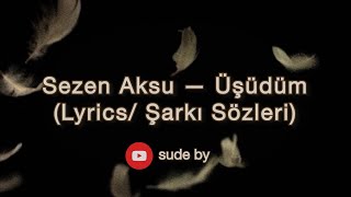 Sezen Aksu - Üşüdüm (Lyrics/ Şarkı Sözleri)